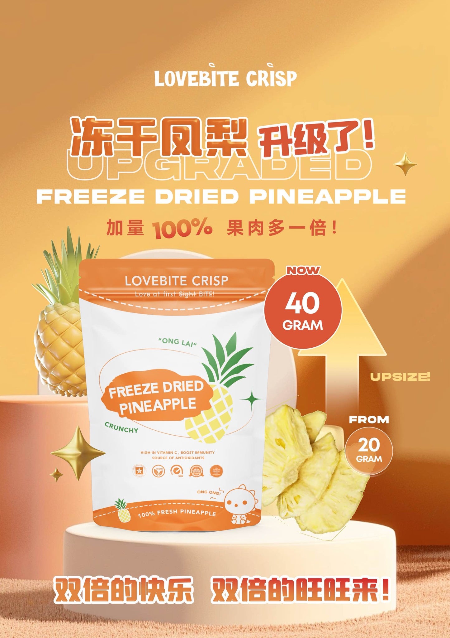 【40G】Freeze Dried Pineapple🍍🍍 ONG LAI 旺旺来💰