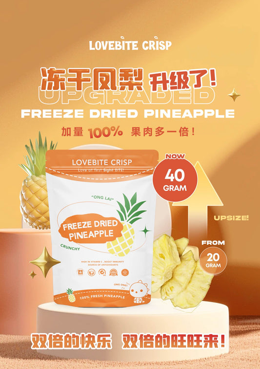 【40G】Freeze Dried Pineapple🍍🍍 ONG LAI 旺旺来💰